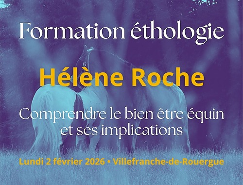 Ethologie équine : Comprendre le bien être équin et ses implications – Terres et chevaux