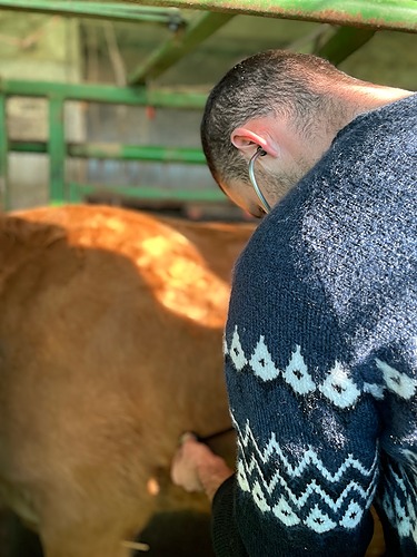 TH3 L&rsquo;éleveur infirmier proactif sur la santé de ses animaux – groupe Bovin – FODSA GDS 2026