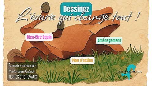 Dessinez l&rsquo;écurie qui change tout : Bien-être, aménagement et plan d&rsquo;action – Rieupeyroux – Terres et Chevaux