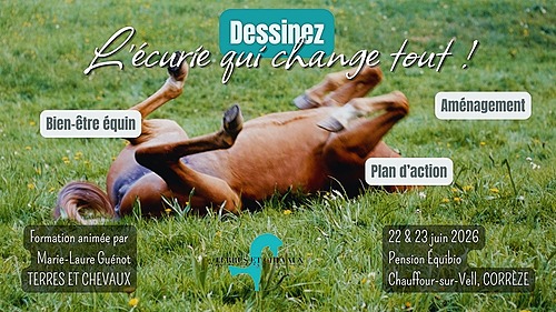 Dessinez l&rsquo;écurie qui change tout : Bien-être, aménagement et plan d&rsquo;action – Terres et Chevaux – ST NICOLAS DU PELEM