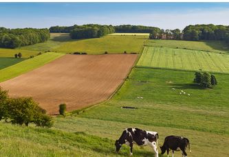 Passeport vers la haute valeur environnementale_CA12 – 2025