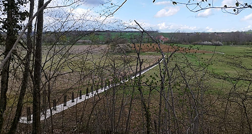 Intégrer l’arbre dans son système d’élevage : clés pour réussir son projet de plantation_CA12