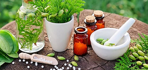 Perfectionnement à l&rsquo;homéopathie en élevage en bovins lait_CA12